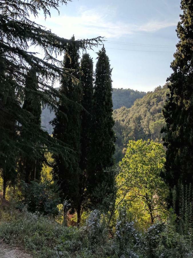 Agula Relais Camera Matrimoniale Pugnano Kültér fotó